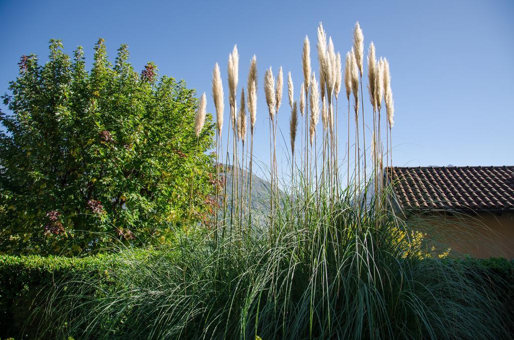 Anma Cottages Sole Lago Acquaseria المظهر الخارجي الصورة