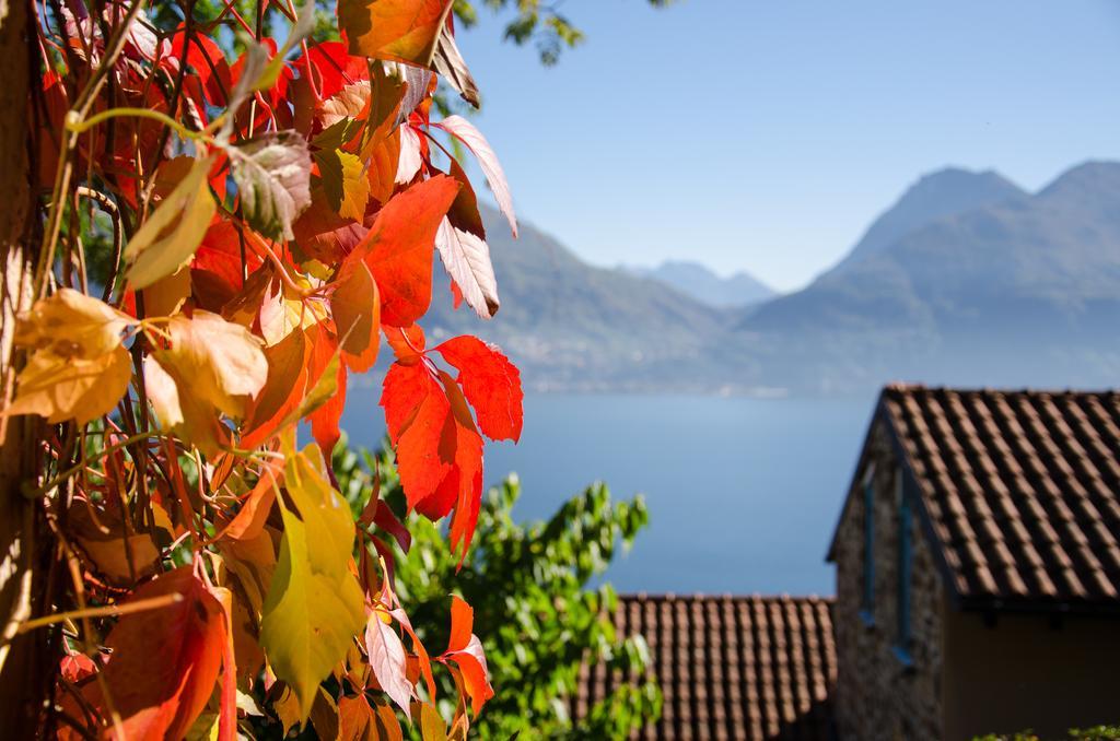 Anma Cottages Sole Lago Acquaseria المظهر الخارجي الصورة