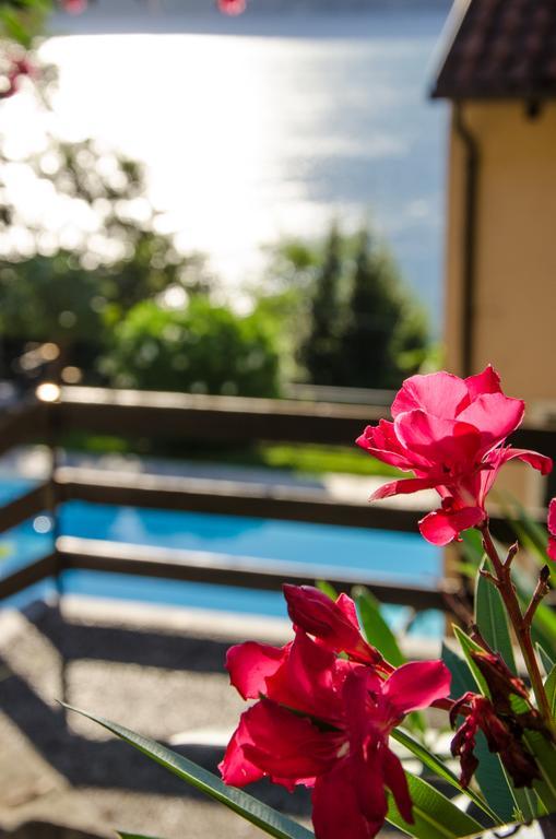 Anma Cottages Sole Lago Acquaseria المظهر الخارجي الصورة