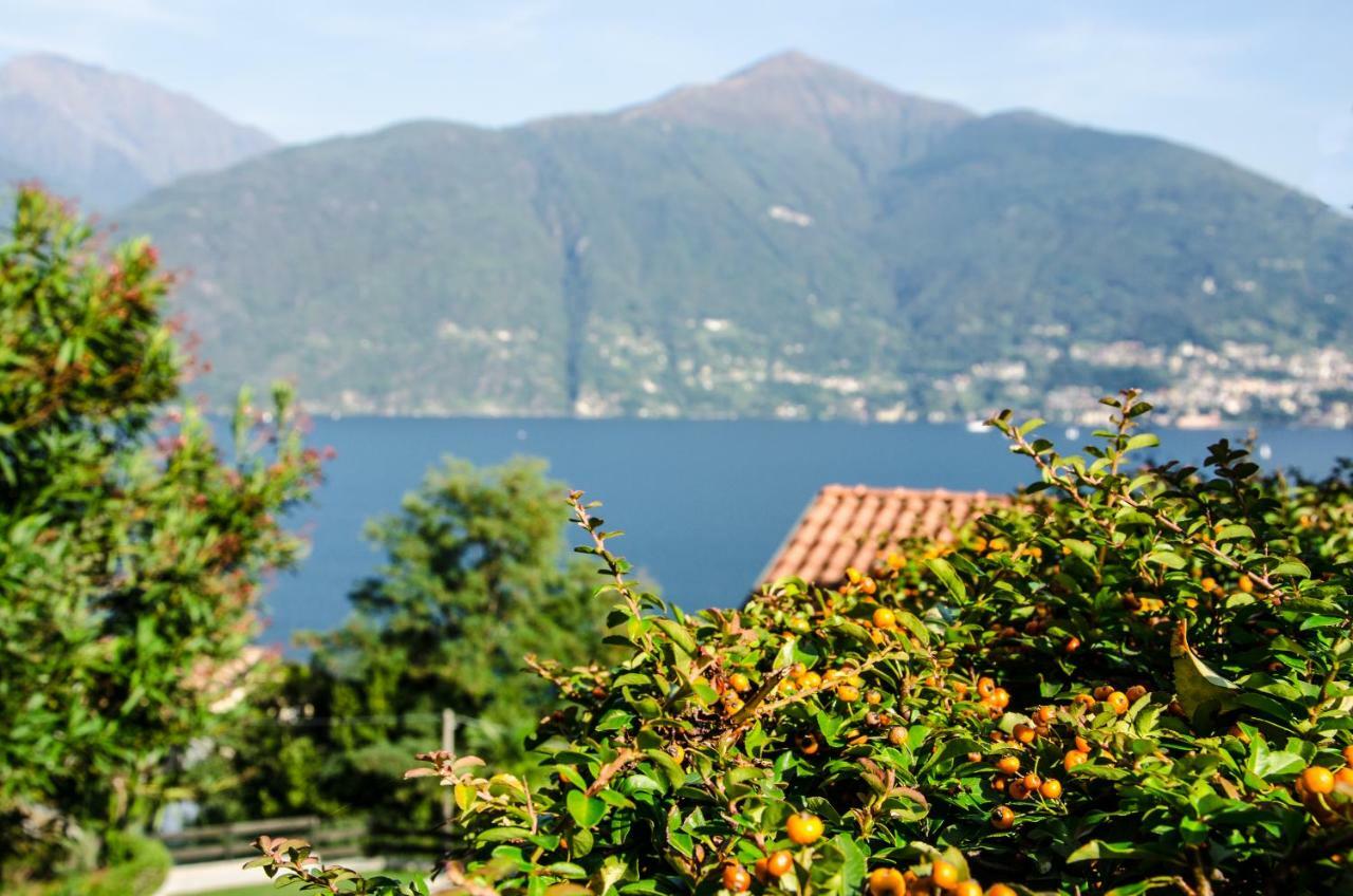 Anma Cottages Sole Lago Acquaseria المظهر الخارجي الصورة
